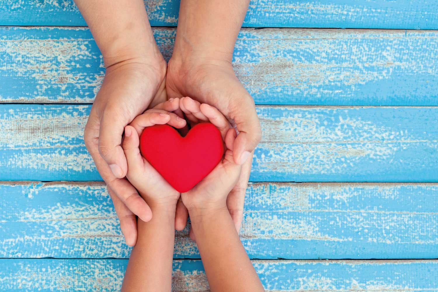 Hands holding a heart